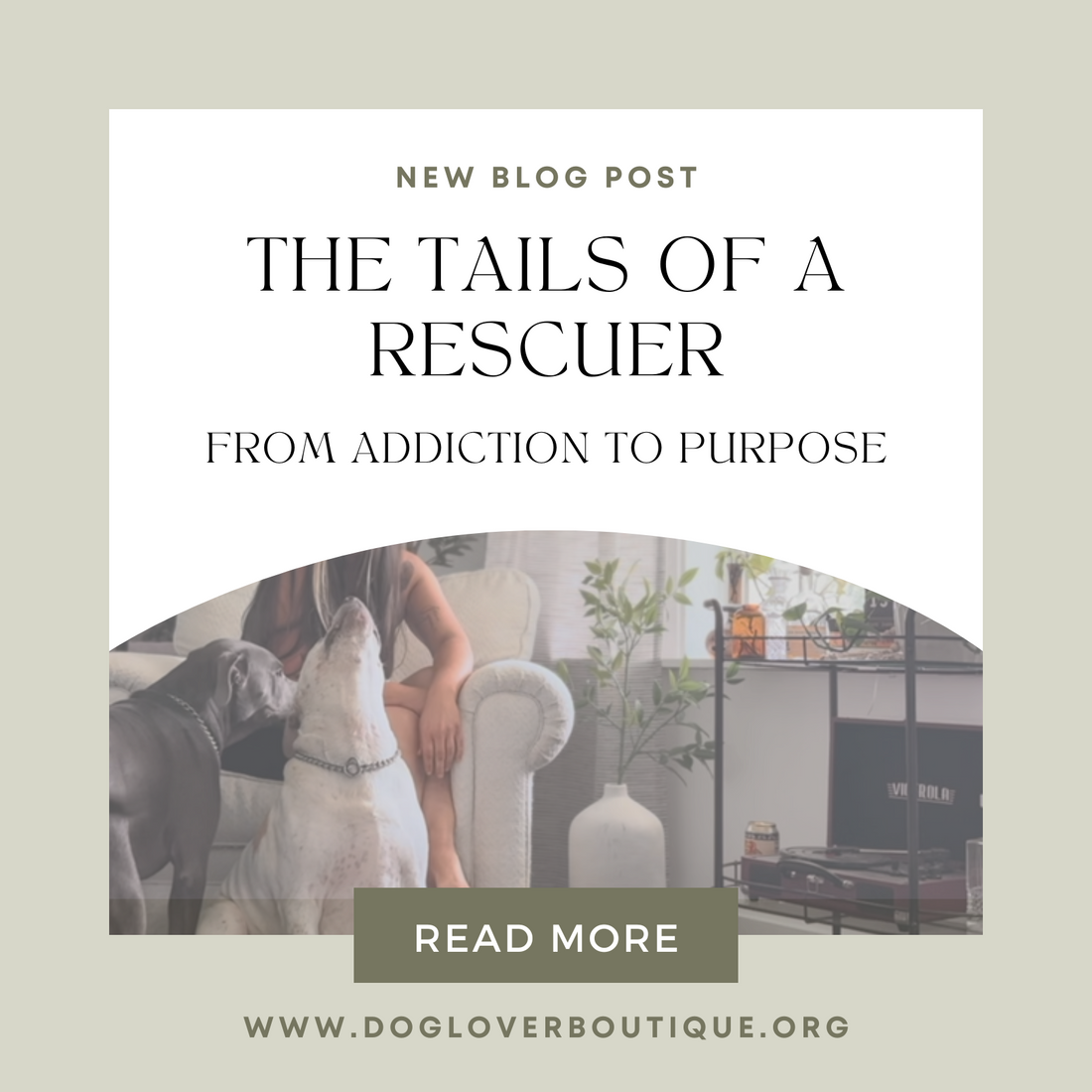 the tails of a rescuer blog post, animal rescue